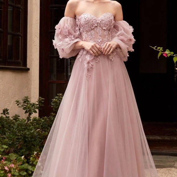 Ladivine Cinderella CD962 MAUVE bodice prom gown - Picture 2 of 3